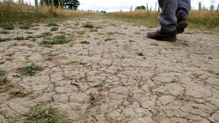 A person wearing black shoes and blue pants is seen walking across a dry dusty landscape with few green patches of grass