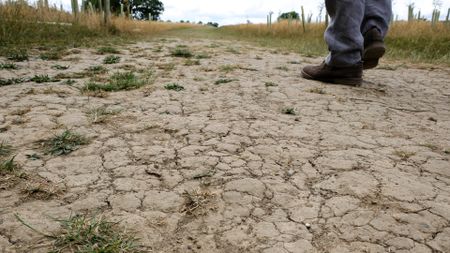 A person wearing black shoes and blue pants is seen walking across a dry dusty landscape with few green patches of grass