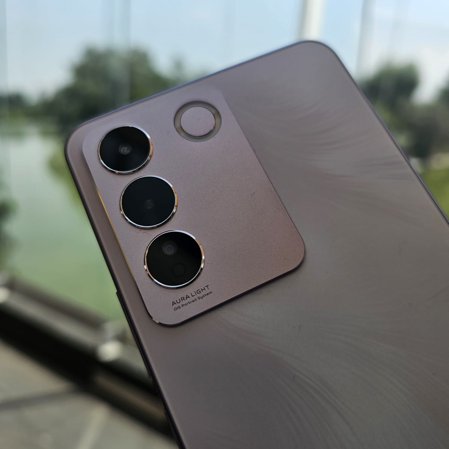 vivo