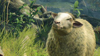 A sheep from Baldur's Gate 3 cants its head to one side, as if questioning life itself.