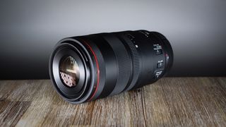 Canon RF 100mm f/2.8L Macro IS USM review