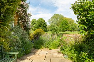 Terrace area in a cottage garden with climbing roses