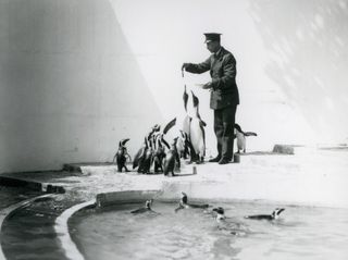 Penguin Pool at London Zoo, designed by Berthold Lubetkin and the Tecton Group and completed in 1934 (c) Bond & ZSL (3)