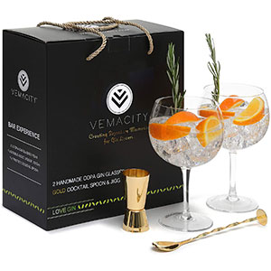 Vemacity-gin-glasses.jpg