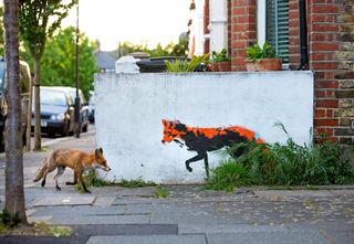 A fox wanders past a piece of street art that also resembles a fox