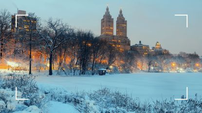 Central Park in the snow showing Christmas in New York
