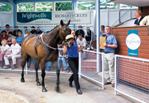 ASCOT-SALES1.jpg