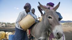 Women-loading-water-onto-donkey-The-Donkey-Sanctuary-1.jpg