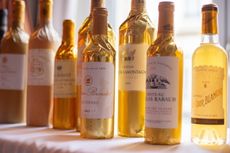 Sauternes and Barsac 2023