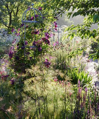 Sensory garden ideas with fragrant flowers