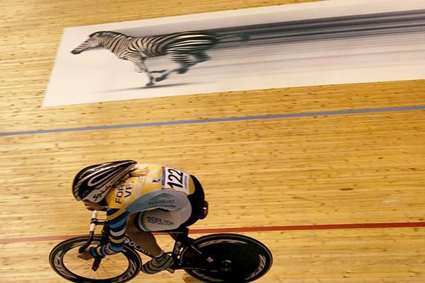 Quicker than a zebra?