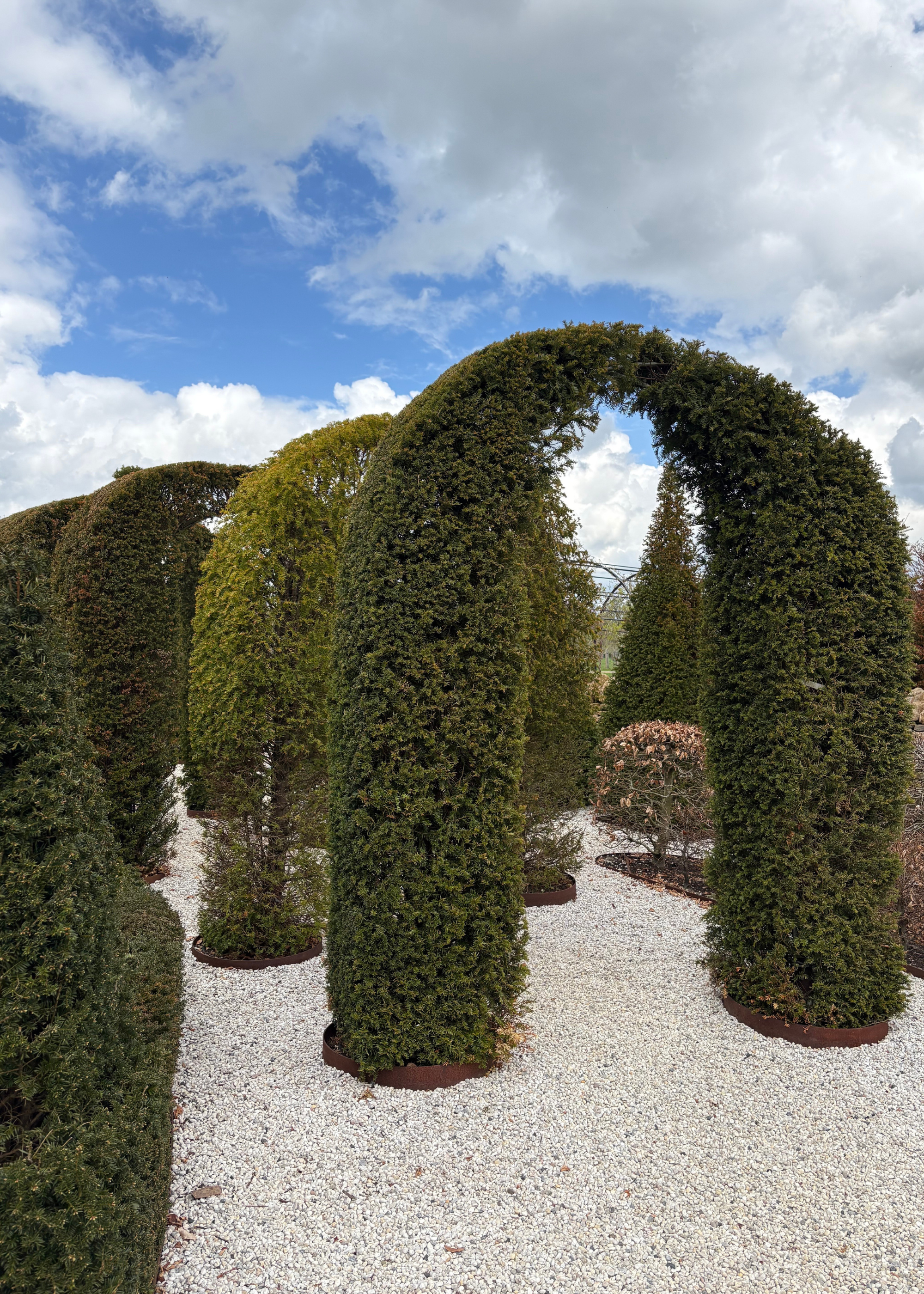 arch trimmed topiary trees at the newt hotel