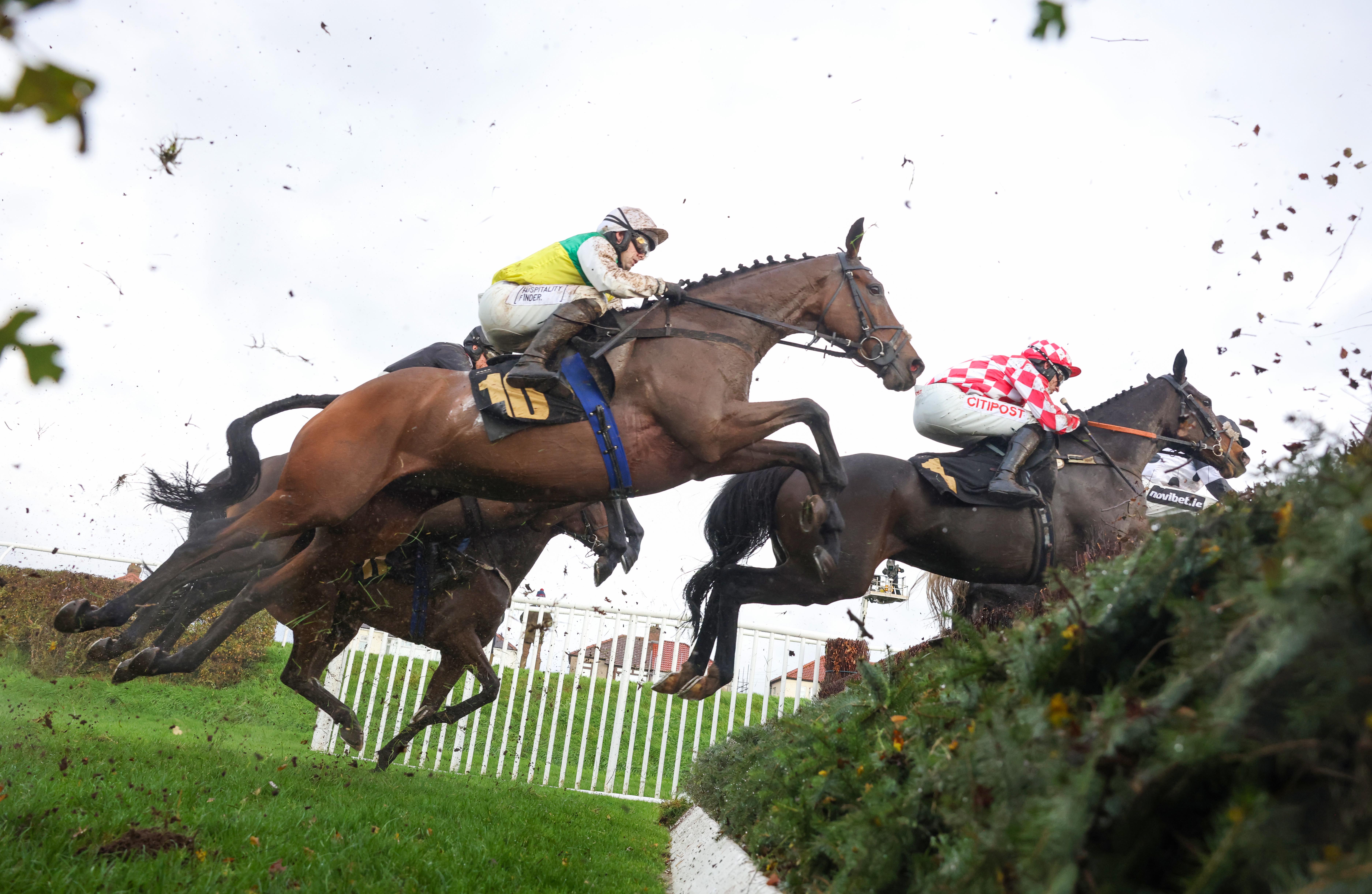 Horses to follow: Iron Bridge, trained by Jonjo O'Neill and ridden by his son Jonjo O'Neill Jr, win at Carlisle