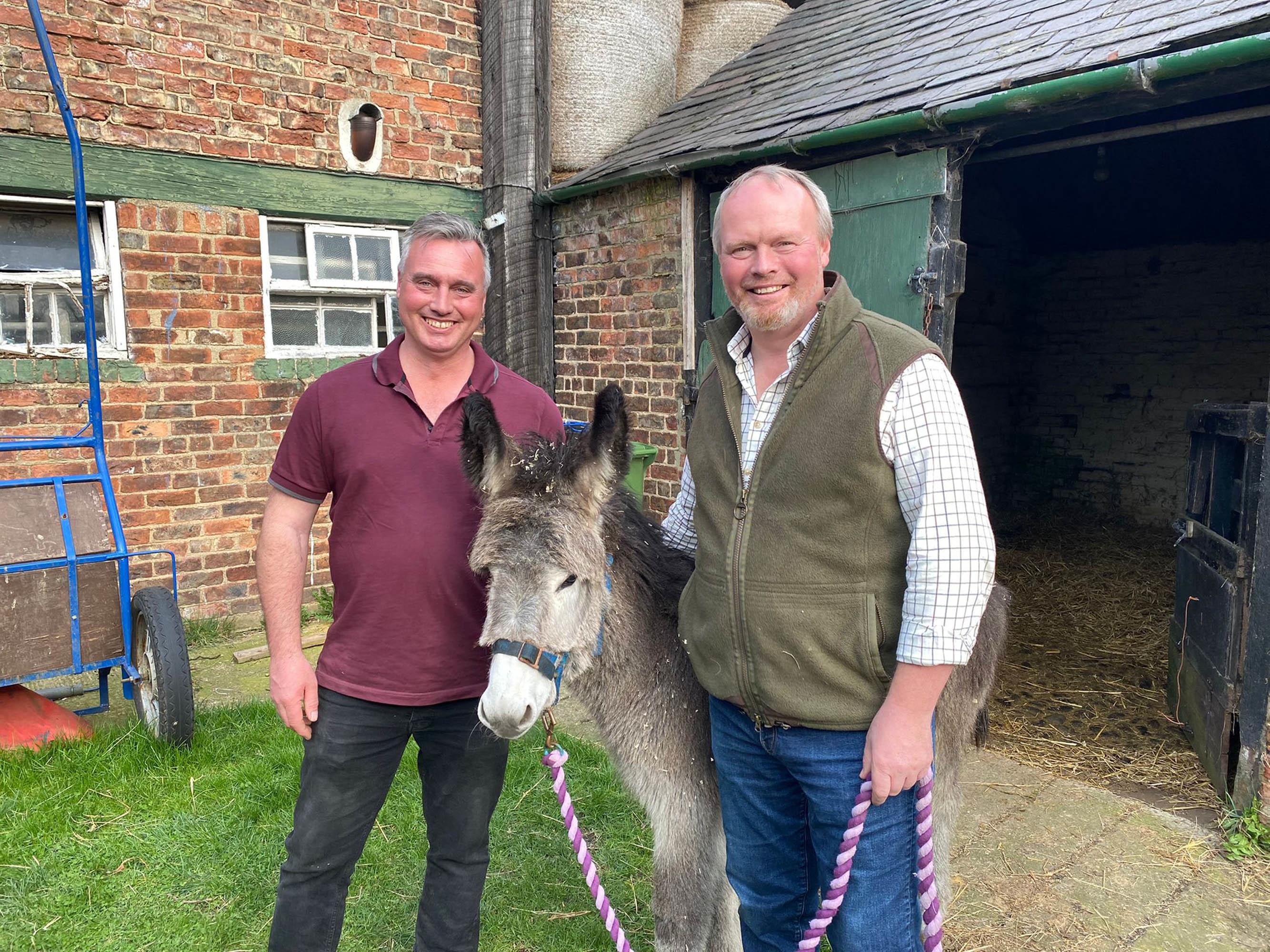 Look who has a spare donkey!?