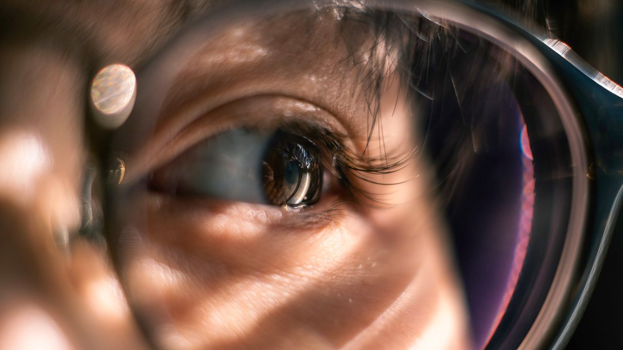 Why does it take our eyes so long to adjust to the dark?