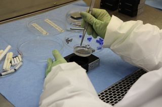 Plant Samples for the BRIC-20 Experiments