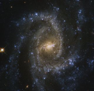 The spiral galaxy NGC 2835 sparkles out in the head of the constellation Hydra, as seen in this photo taken by the Hubble Space Telescope. The galaxy is is about half as wide as the Milky Way and has a supermassive black hole millions of times more massive than our sun at its center.
