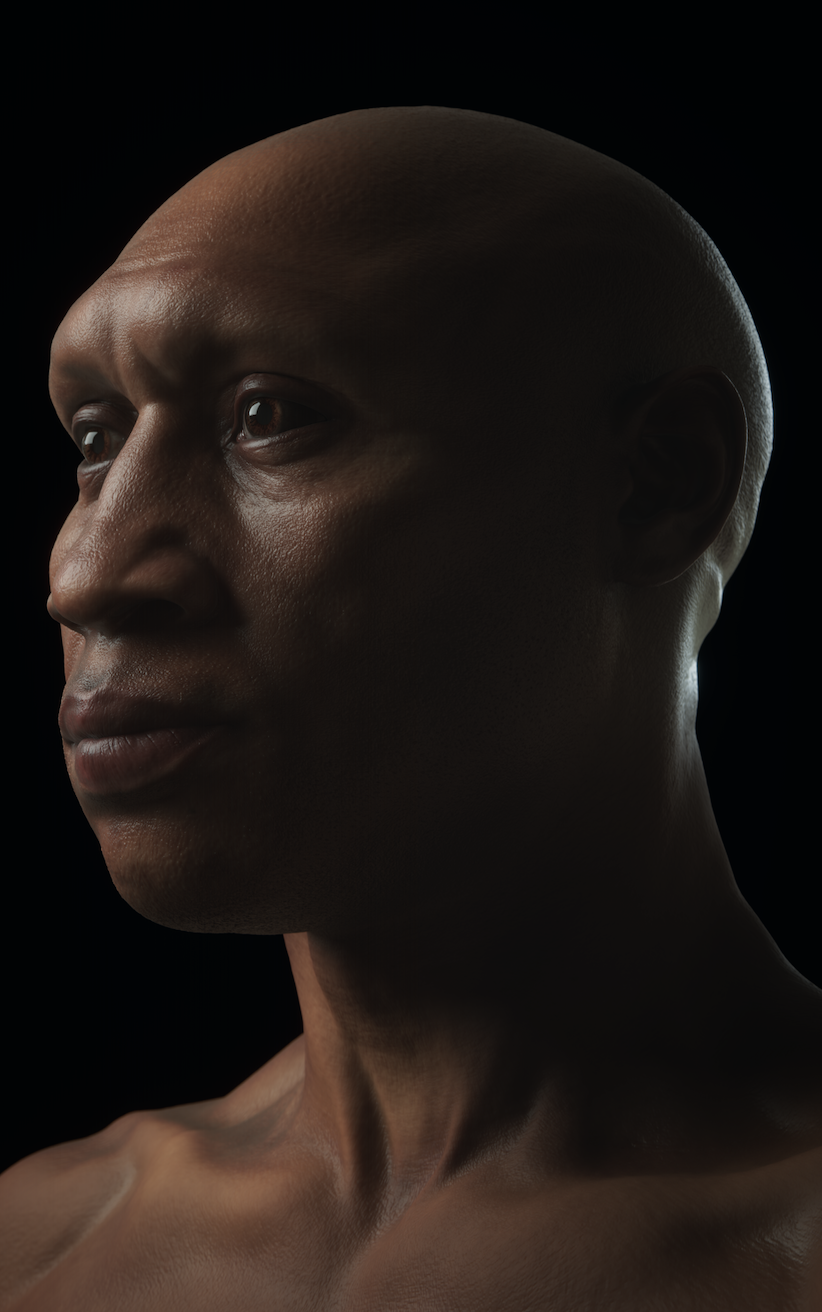 a digital reconstruction of an early Homo sapiens