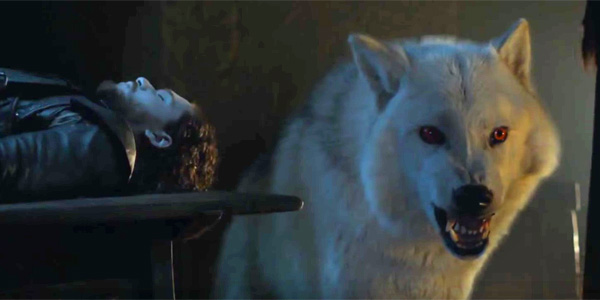jon snow dead slab