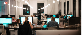 Workers at computers in an office