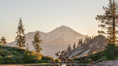 Mount Shasta and Lake