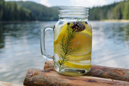 Jar Of Water With Pine Needles And Lemon Slices In Front Of A Lake