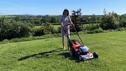 Cobra MX51S80V cordless lawn mower review Gardeningetc