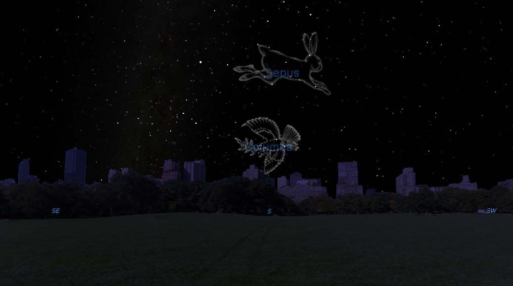 Hare Dove Constellations Night Sky