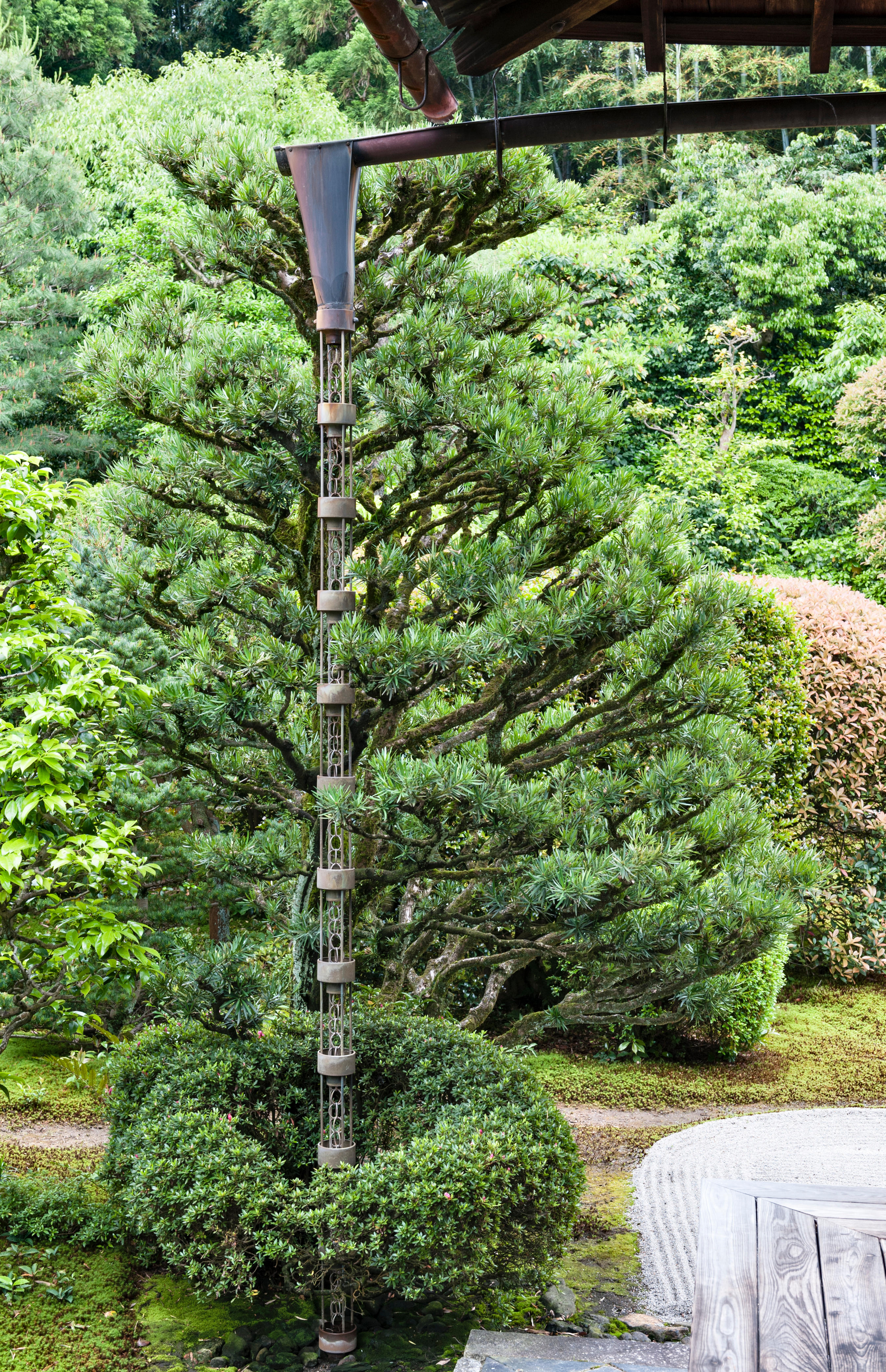 Traditional Japanese 'rain chains' (kusari-doi) used instead of downpipes