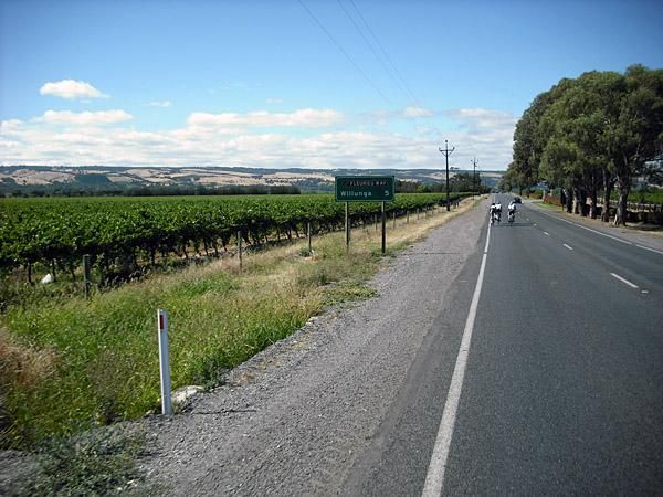 It's a five-kilometre run along the vineyards between McLaren Vale and the town of Willunga.