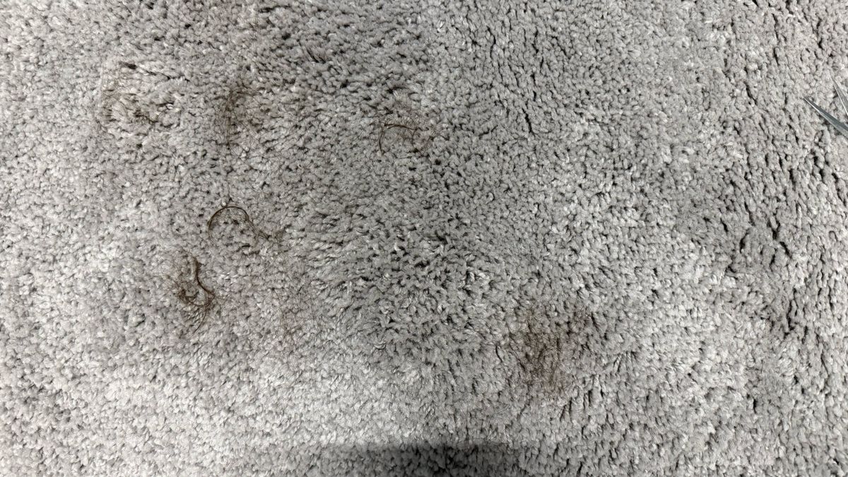 a photo of a carpet before cleaning hair