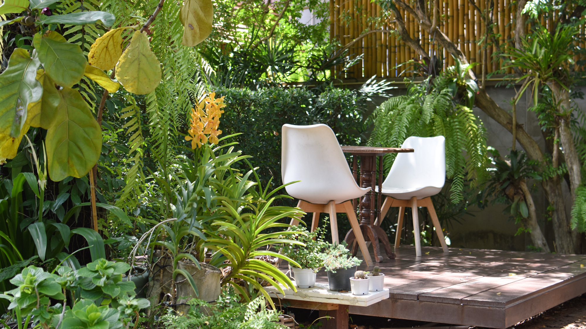 Two chairs and a table on a deck in a small urban garden planted for foliage