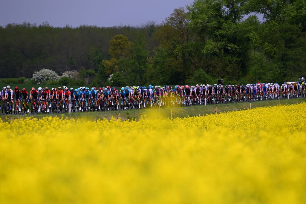BALATONFURED HUNGARY MAY 08 A general view of the peloton passing through flowery landscape during the 105th Giro dItalia 2022 Stage 3 a 201km stage from Kaposvr to Balatonfred Giro WorldTour on May 08 2022 in Balatonfured Hungary Photo by Tim de WaeleGetty Images