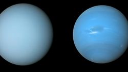 Uranus on the left and Neptune on the right are both shades of light blue, though Neptune is slightly deeper. 