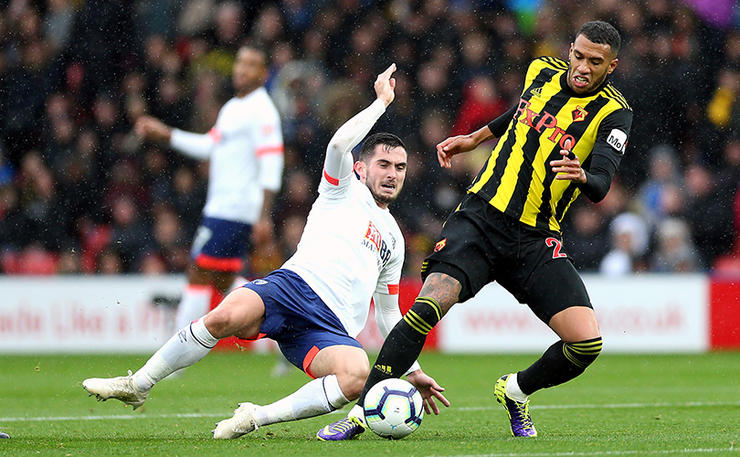 Etienne Capoue (Watford)