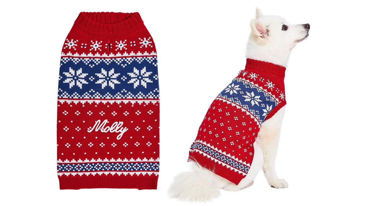 Best dog Christmas sweaters From novelty to personalized PetsRadar