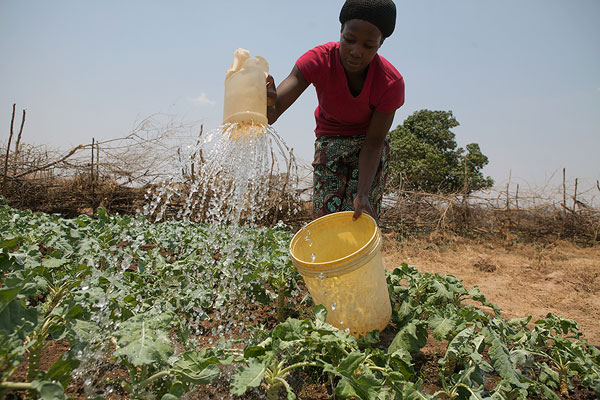 Decanter Zambia WaterAid