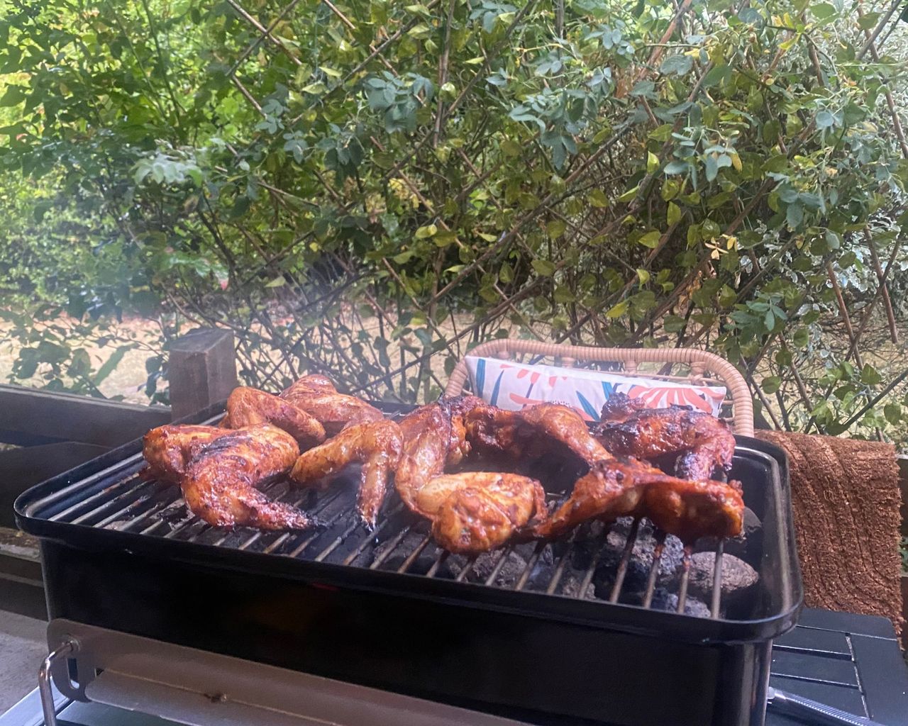 Weber Go Anywhere cooking chicken wings