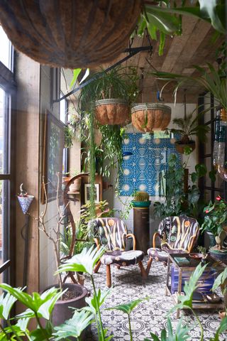Sunroom filled with houseplants
