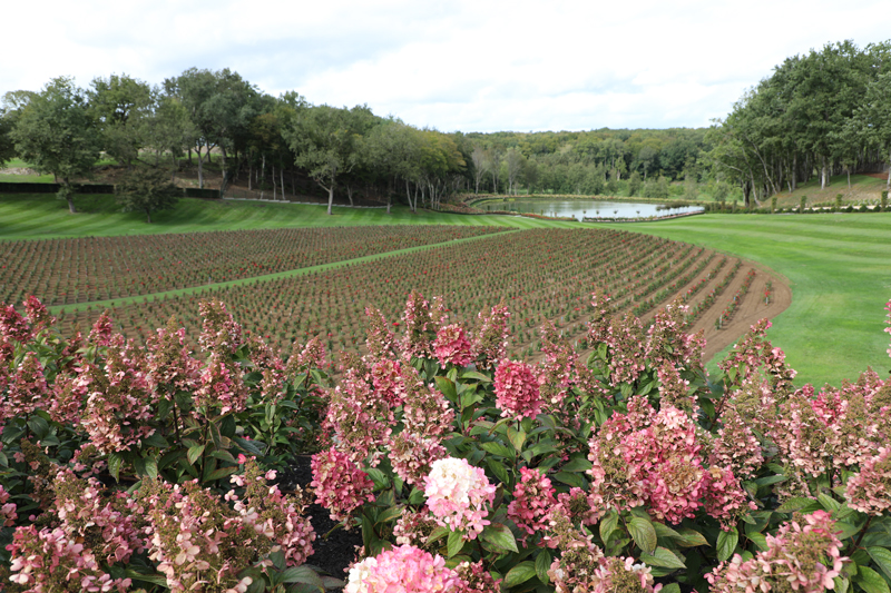 Ch&amp;acirc;teau de Sours lake view