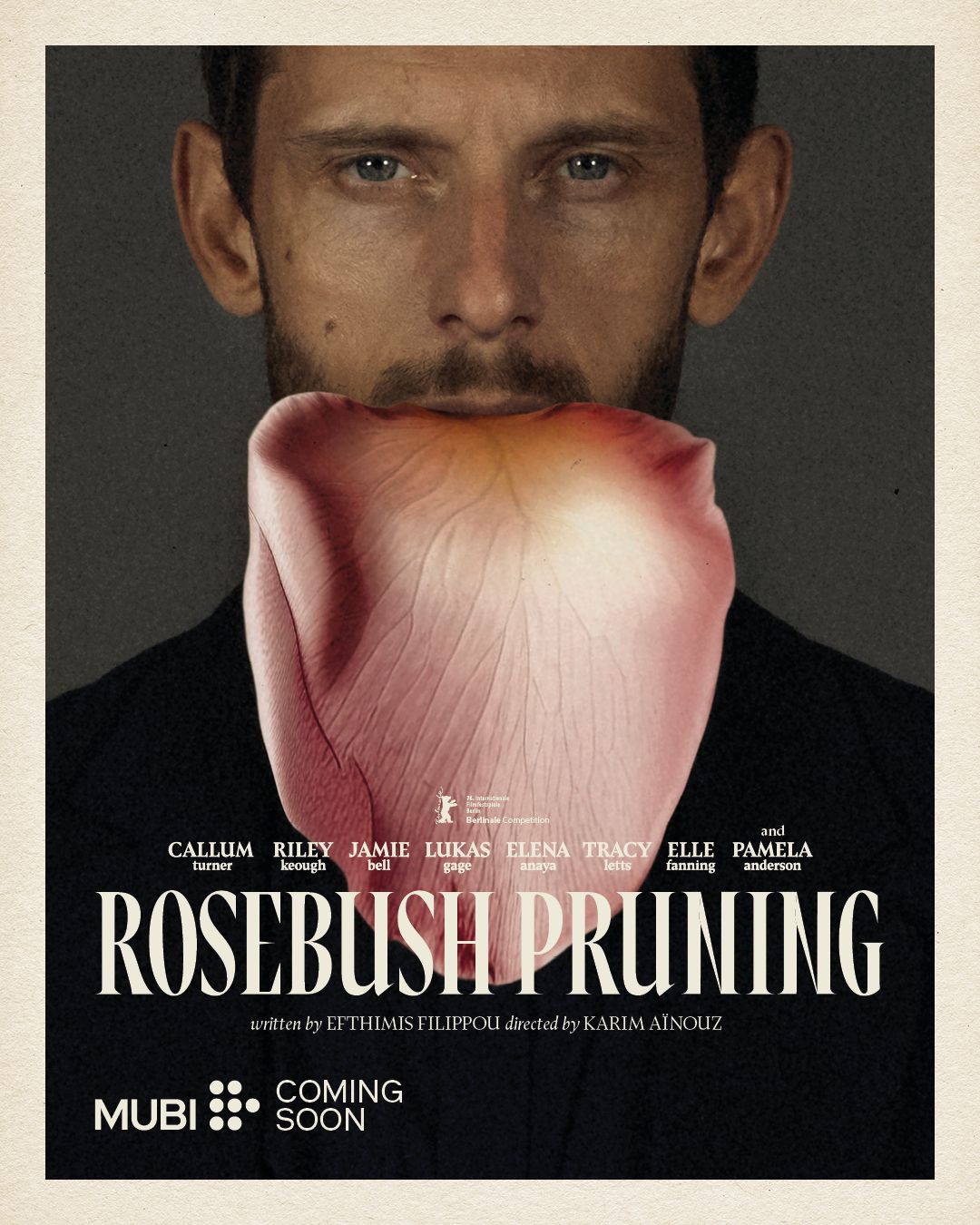 Rosebush Pruning posters.