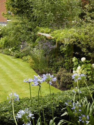 spring lawn care tips: lawn behind border