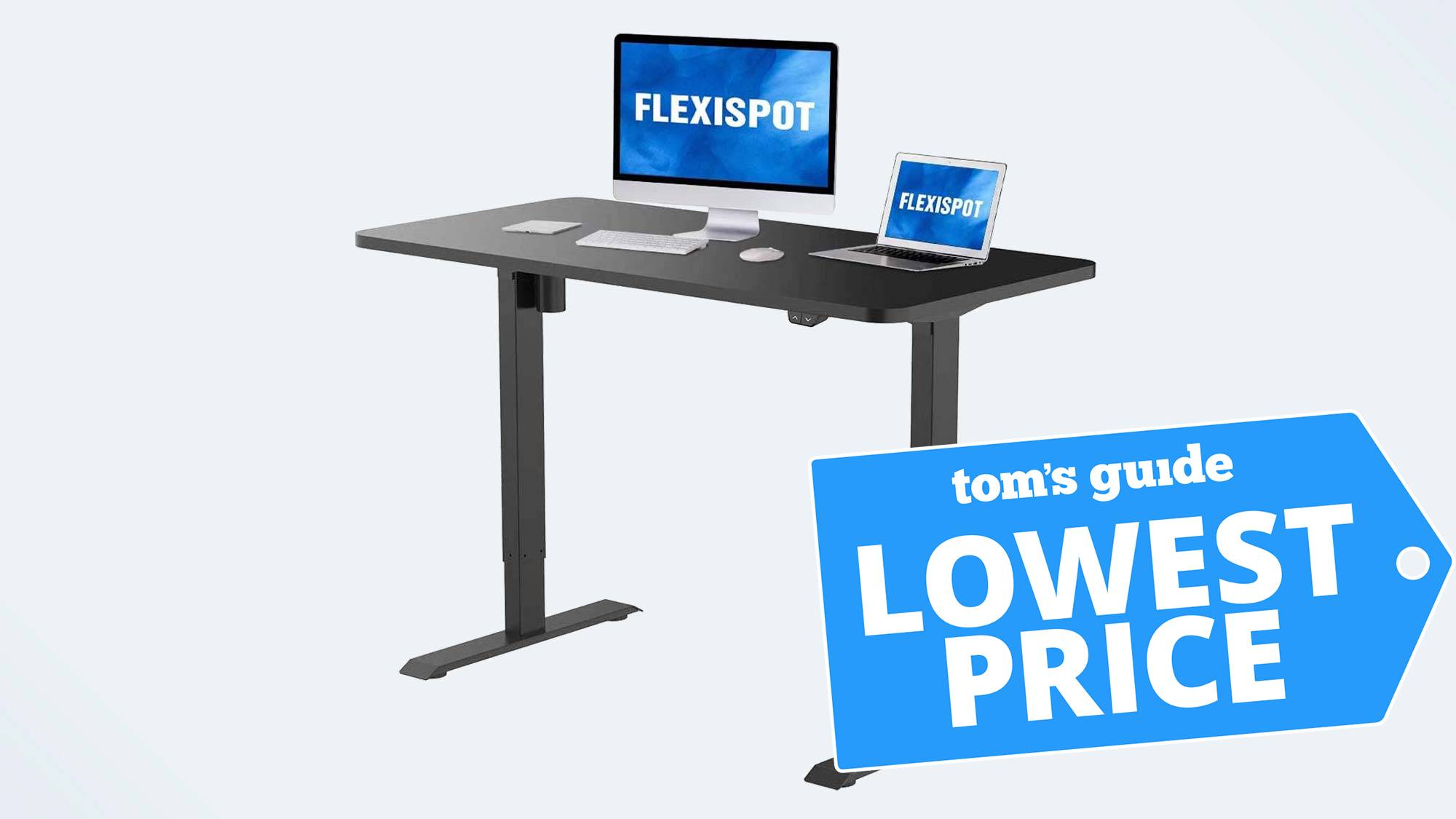 FlexiSpot Standing Desk