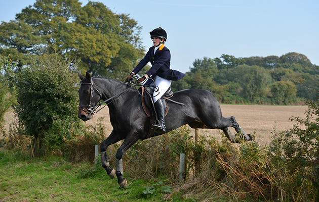 I have submitted a couple of photos in the past, and wondered if you were doing your seasonal collection of "Opening Meet" photos from around the country. The South Downs Bloodhounds Opening Meet was Sunday 11th October, in Privett, Hampshire near their kennels. I have attached 3 pictures for you to choose or use all 3. Information on the following photos: Image 064 - shows hounds Kestrel and Rampart Image 075 - Master Jeremy Whaley addressing the field with amateur whippers-in Gina Woodhouse and Emma Moseley. This was the first time in hunt uniform for the two young whips and a very proud day it was for the girls and their parents. Image 487 - shows Gina Woodhouse on her young horse Tikka taking the hedge in style. Photograph by: www.sharontphotography.co.uk