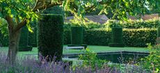 The pond in the Silent Garden at Scampston which is surrounded by 24 yew columns and nepeta in the foreground