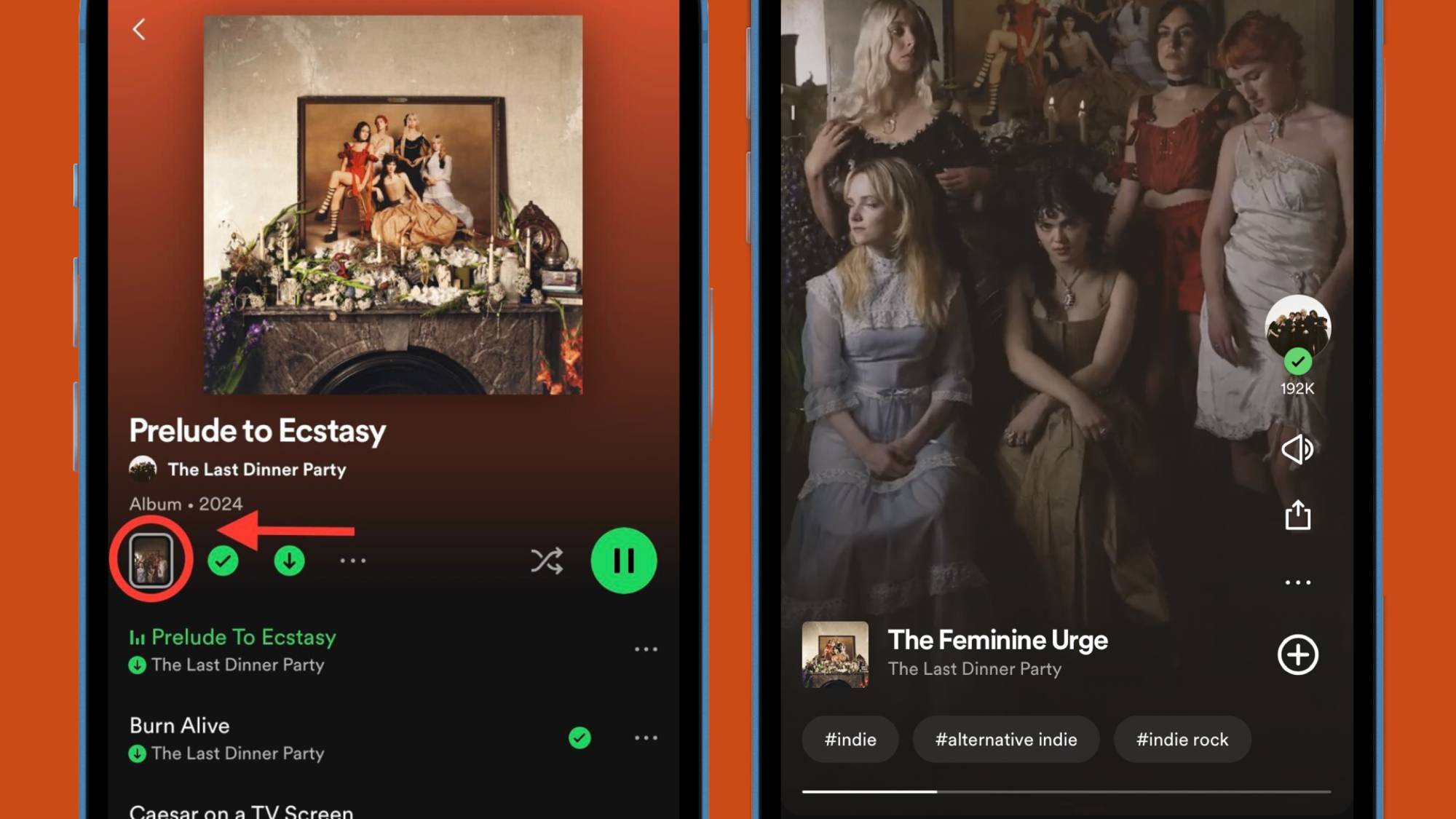 Will this new Spotify video feature change the way we listen to albums?  Here's what we know so far