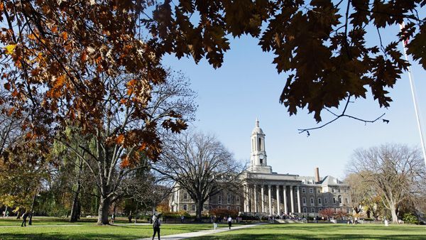 Tree, Leaf, Public space, Landmark, Woody plant, Deciduous, Park, Autumn, Lawn, Monument, 