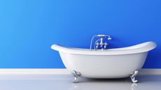 A white claw-foot bathtub.