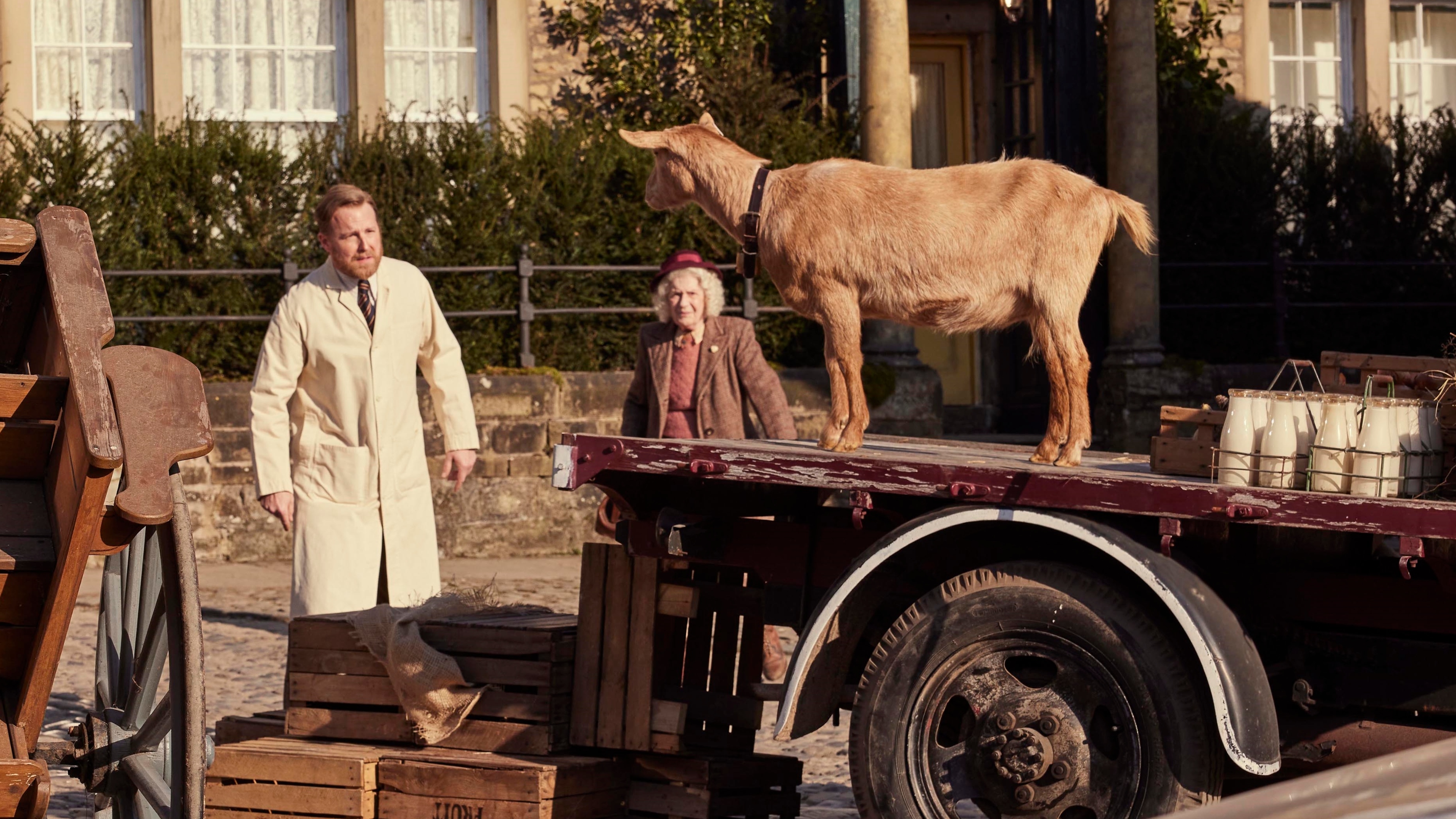 Siegfried stares at a goat standing on a truck in All Creatures Great and Small