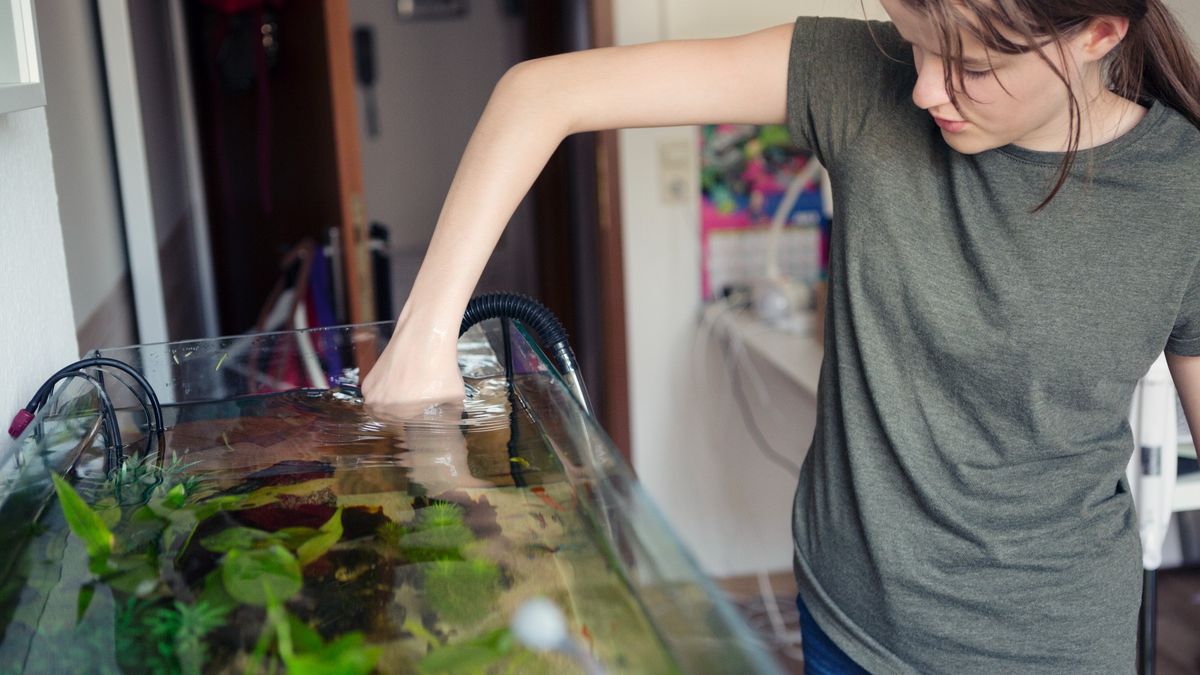 How to fix a leaking fish tank with or without draining PetsRadar